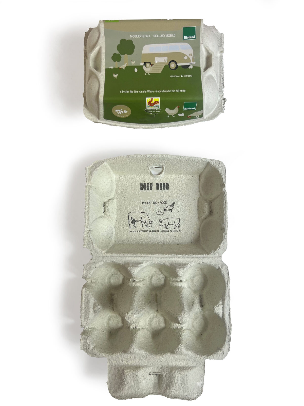 EFFECT PLUS 6